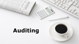 Auditing
